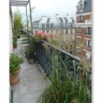 gramineesetsauvageonnes18