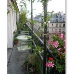 gramineesetsauvageonnes19