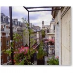 gramineesetsauvageonnes8