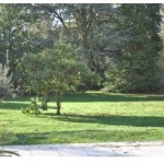 mirrors_of_paradise07